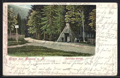 AK Seesen a. H., Schildau-Köthe, Waldweg, Forsthütte