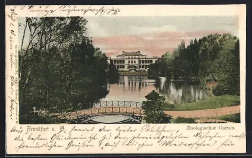 AK Frankfurt-Ostend, Zoologischer Garten, Teich, Brücke