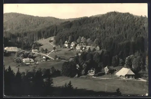 AK Hinterzarten /Schwarzwald, Bauernhäuser, Waldhänge