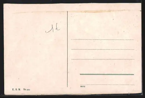 AK Mainz, Rheinansicht mit Personendampfer