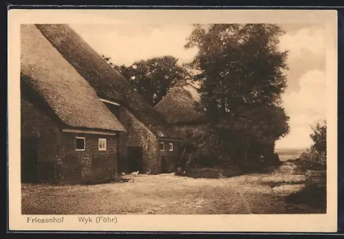 AK Wyk /Föhr, Blick zum Friesenhof