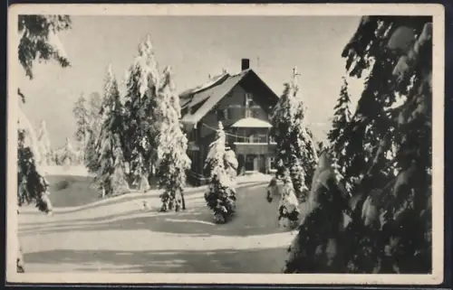 AK Mummelsee /nördl. Hochschwarzwald, Hotel Mummelsee im Schnee, Inh. Karl Bürk