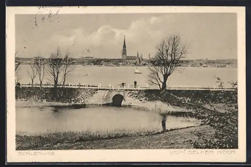 AK Schleswig, Blick vom Selker Noor