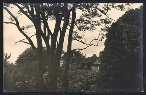 Foto-AK Grömitz, Blick auf ein Haus im Juli 1921