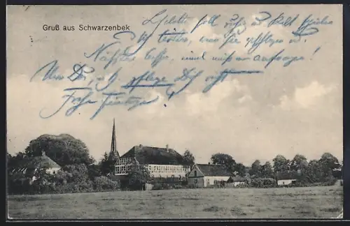 AK Schwarzenbek, Ortsansicht mit Kirche