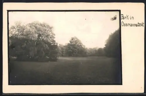 AK Ossmannstedt, Partie im Park