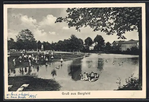 AK Bargfeld / Stegen, Teichpartie mit Wildvögeln und Parkbesuchern