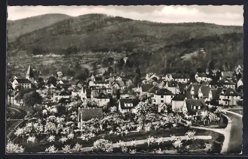 AK Seeheim a. d. Bergstrasse, Ortsansicht mit Hügelpanorama