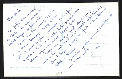 AK Bad Rippoldsau, Gasthaus mit Strassentischen und Umgebung