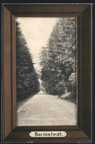 AK Barmstedt, Weg nach dem Vossloch, Rahmen