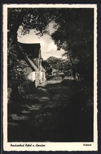 AK Nebel a. Amrum, Nordseebad, Strassenpartie mit Bäumen