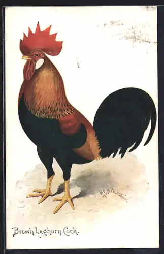 Künstler-AK Brown Leghorn Cock, Huhn