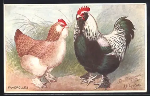 Künstler-AK Faverolles, Huhn