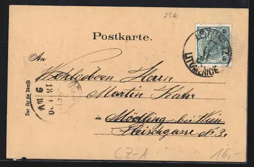 Lithographie Leitmeritz / Litomerice, Altes Salzamt oder Kelchhaus, Elbschlossbrauerei, Dom