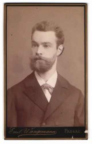 Fotografie Emil Wängemann, Passau, Heilige Geiststr. 379, Porträt eines Herrn mit Bart