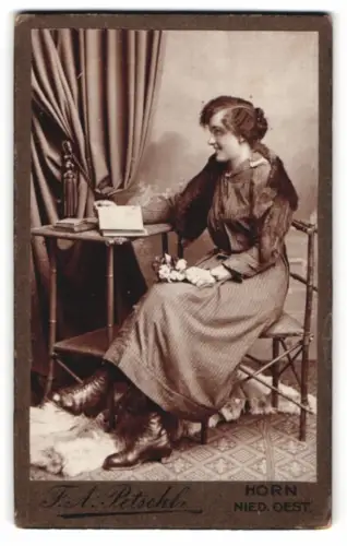 Fotografie F. A. Petschl, Horn, Wienerstrasse 191, Dame sitzend mit Buch