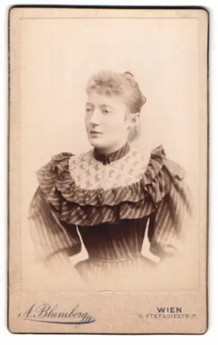 Fotografie A. Blumberg, Wien, Stefaniestrasse 7, Porträt einer eleganten Dame