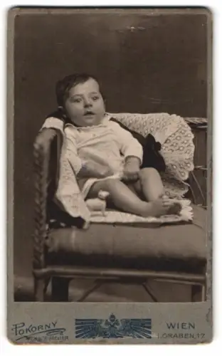 Fotografie Pokorny, Wien, Graben 17, Kleinkind auf Sessel