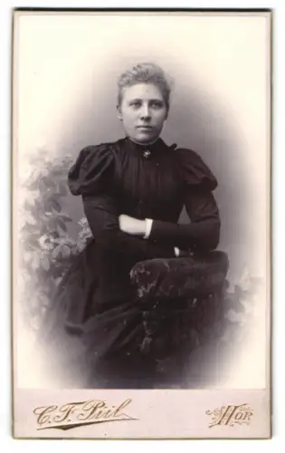 Fotografie C.F. Pül, Hör, Frau in elegantem Kleid