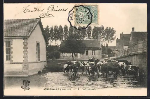 AK Molinons /Yonne, À l`abreuvoir