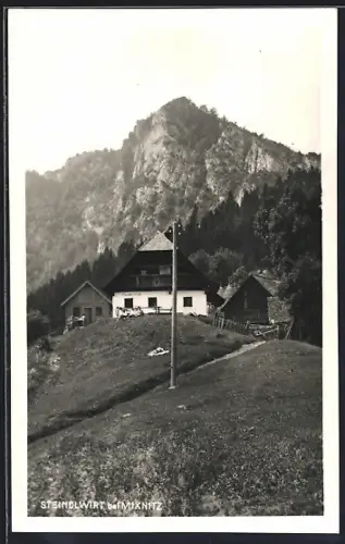 AK Mixnitz, Rote Wand, Gasthaus Steindlwirt J. Zeissmann mit Gipfelblick