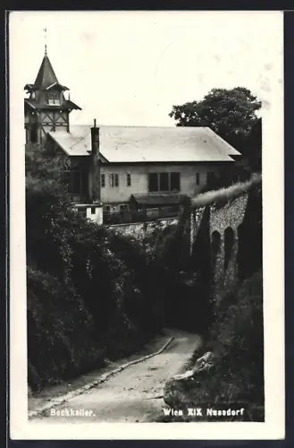 AK Wien, Nussdorf, Gasthaus Bockkeller von der Strasse aus