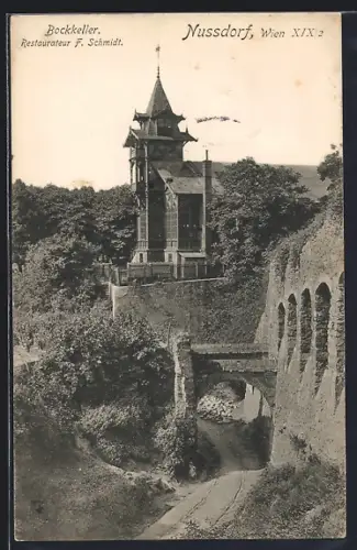 AK Wien, Nussdorf, Gasthaus Bockkeller F. Schmidt, Ansicht von der Strasse aus