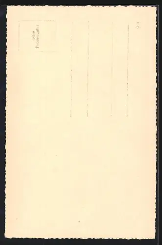 AK Wien, Döbling, Theodor Körnerhäuserl mit Strasse