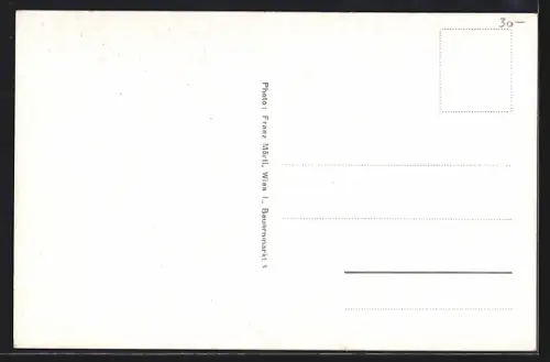 Künstler-AK Wien, Im Garten beim Heurigen in Grinzing