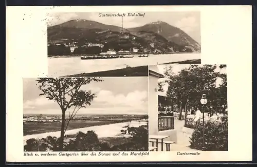 AK Wien, Nussdorf, Panorama mit Gasthaus Eichelhof von der Donau gesehen