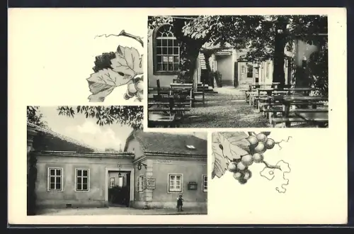 AK Wien, Grinzing, Gaststätte Weinhaus Karl Berger, Himmelstrasse 19, Gebäude u. Garten, Weintrauben