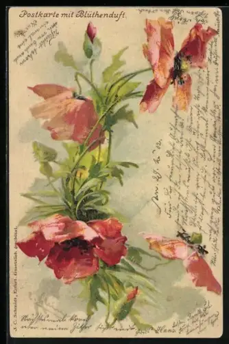 Duft-AK Blühender Mohn