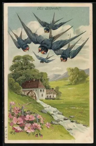 Duft-AK Schwalben im Flug über einer Bachwiese mit Wassermühle