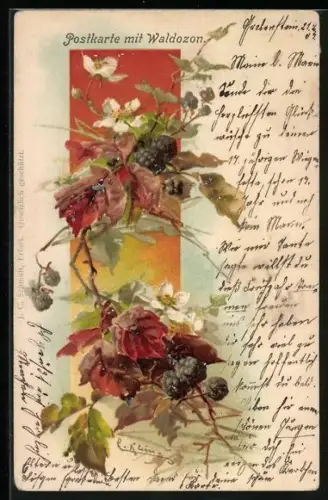 Duft-AK Brombeeren mit Blüten