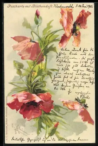 Duft-AK Blühender Mohn mit Duft