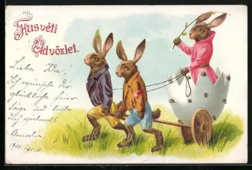 AK Osterhasen ziehen Osterhasendame in einem Eier-Karren