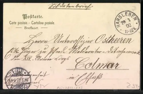 AK Osterhasen bemalen gigantische Eier