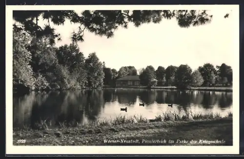 AK Wiener-Neustadt, Kriegsschule, Pionierteich im Park