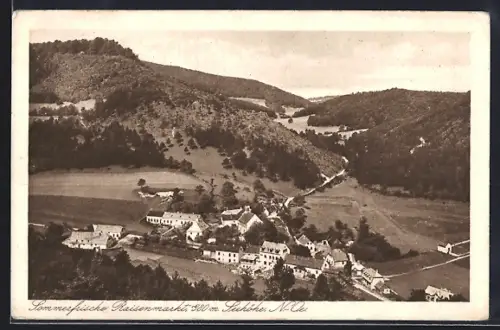 AK Raisenmarkt, Blick aus der Vogelschau auf den Ort