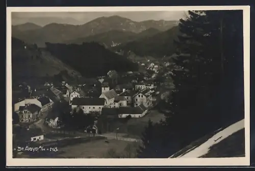 AK St. Aegyd a. N., Ortsansicht vom Berg aus
