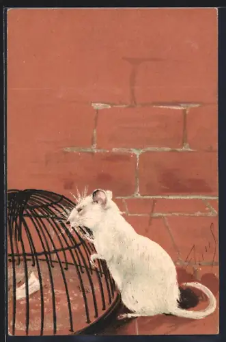 AK Weisse Maus an der Mausefalle