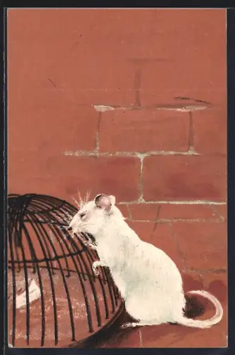 AK Weisse Maus an der Mausefalle