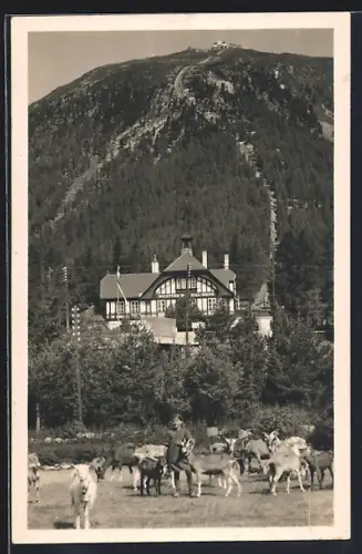 AK St. Moritz, Muottas-Muraigl Bahn