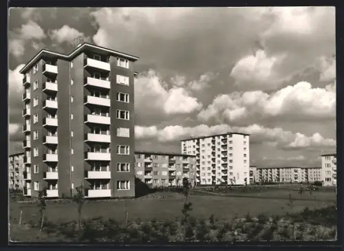 AK Berlin, Siedlung Charlottenburg-Nord