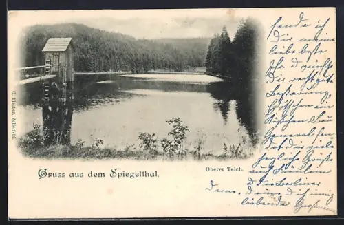 AK Wildemann, Spiegelthal, Oberer Teich im Wald