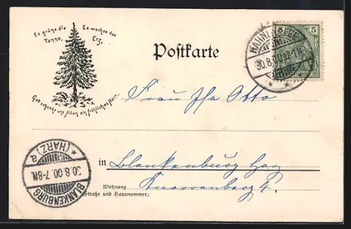 AK Wildemann, Spiegelthal, Oberer Teich im Wald