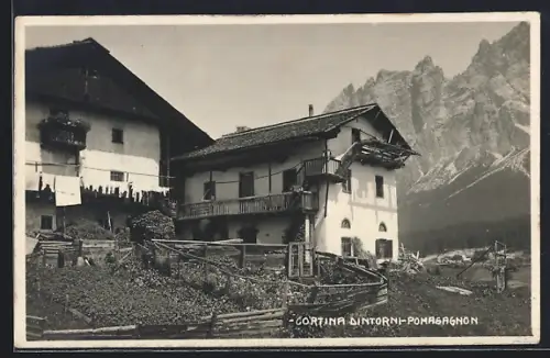 AK Cortina Dintorni, Pomagagnon