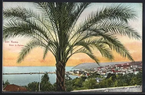 AK San Remo, Sous la Palme