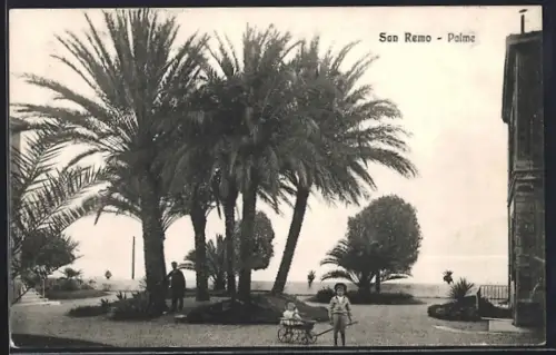 AK San Remo, Palme