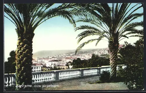 AK Sanremo, Entre les palmiers